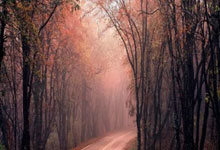 B体育体育vip注册-英格兰足球新纪元：斩获胜利，展现无与伦比的强劲实力