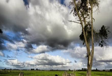 B体育体育投注-布赖顿失利雪上加霜，降级危机形势愈发严峻