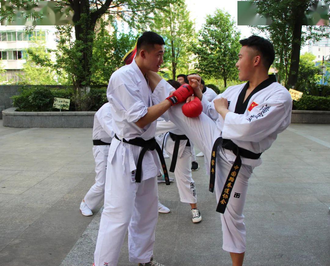 维也纳体能教练认真备战周中战事