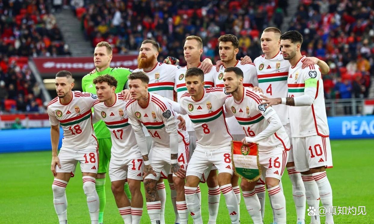 关于匈牙利客场不敌威尔士，出线希望不容乐观的信息