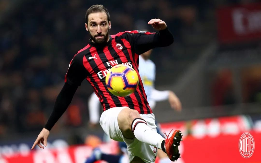 包含荷兰击剑队斩获金牌，期待更多胜利的词条